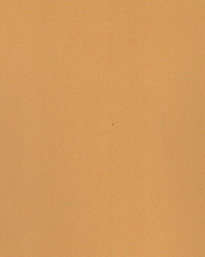 Desert Sand