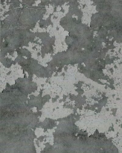 Arctic Grey